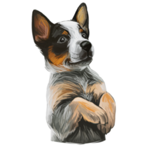 Texas Heeler Puppy Sticker