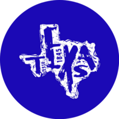 Texas State Silhouette Emblem Sticker