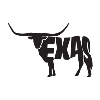 Texas With Longhorn Sticker