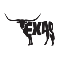 Texas With Longhorn Sticker