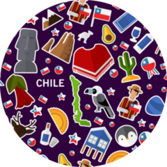 Texture Pattern Of Chile Sticker