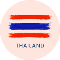 Thailand National Flag Brush Paint Sticker