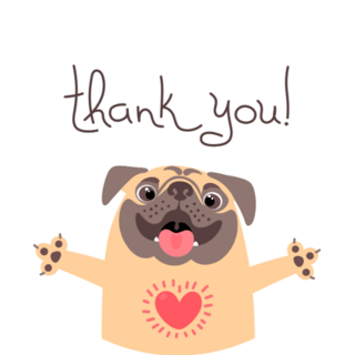 Thank You Pug Sticker