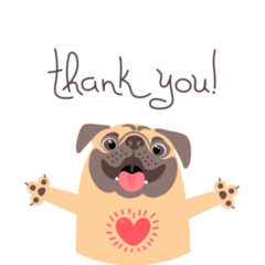 Thank You Pug Sticker