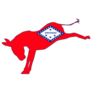 The Arkansas Democrat Party Donkey Flag Sticker