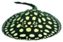 The Black Diamond Stingray (leopoldi Or Polka Dot Stingray) Sticker