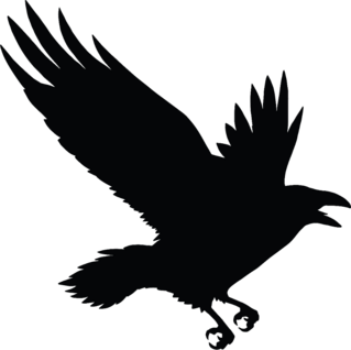 The Black Silhouette Of A Crow Flying Rook Sticker