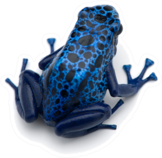The Blue Poison Dart Frog Sticker