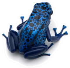 The Blue Poison Dart Frog Sticker