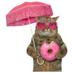 The Cat In Sunglasses Holds A Pink Donut Sticker