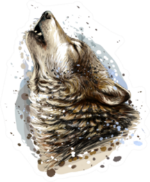 The Coyote Howls Sketch Sticker