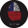 The Finger Flag Of Chile Sticker