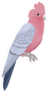 The Galah Parrot, Pink And Grey Cockatoo Sticker