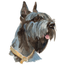 The Giant Schnauzer Sticker
