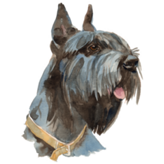 The Giant Schnauzer Sticker