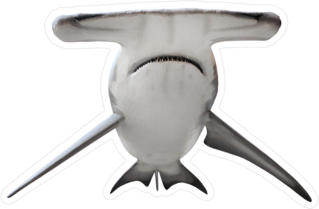 The Great Hammerhead Shark Sticker
