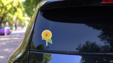 The Head Of A Large Sunflower Kansas Sticker on a Rear Car Window (New) example