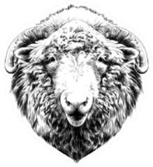 The Head Of A Sheep Hanging Face Sticker