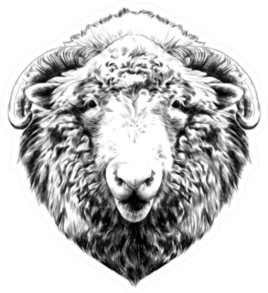 The Head Of A Sheep Hanging Face Sticker