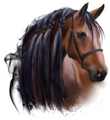 The Horses Head Watercolor Drawing Sticker