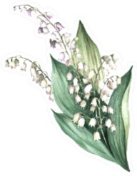 The Image Of A Lily Of The Valley Sticker