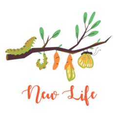The Life Cycle Of A Caterpillar New Life Sticker