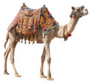 The Lonely Domestic Camel Isolated On White Sticker