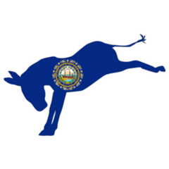 The New Hampshire Democrat Party Sticker