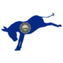 The New Hampshire Democrat Party Sticker