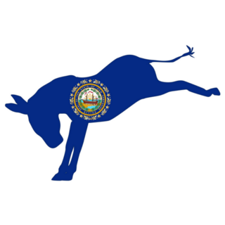 The New Hampshire Democrat Party Sticker