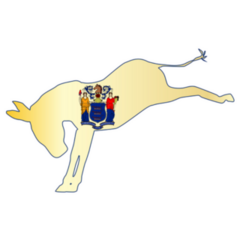 The New Jersey Democratic Party Donkey Sticker