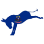 The North Dakota Democratic Party Donkey Flag Sticker