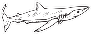 The Sand Tiger Shark Doodle Sticker