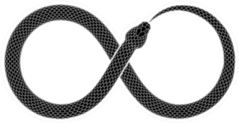 The Snake Bites Its Tail In The Form Of A Sign Of Infinity Sticker