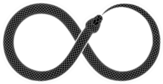 The Snake Bites Its Tail In The Form Of A Sign Of Infinity Sticker