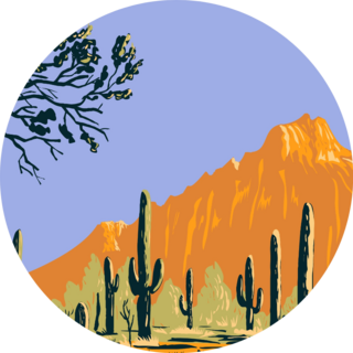 The Sonoran Desert In Arizona Poster Art Sticker