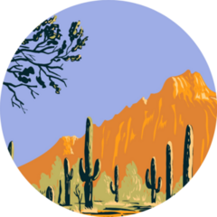 The Sonoran Desert In Arizona Poster Art Sticker