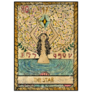 The Star Old Tarot Card Sticker