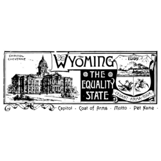 The State Banner Of Wyoming The Equality State Sticker