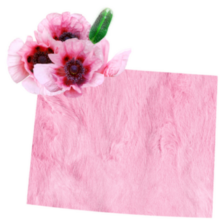 The State Wyoming In Pink Flower Sticker