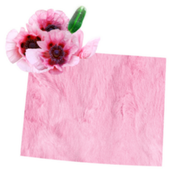 The State Wyoming In Pink Flower Sticker