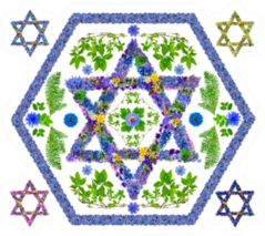 The Symbol Sign Of Israel And Judaism - David Star-  Detailed Sticker