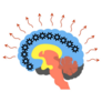 The Triune Brain Abstract Illustration Sticker