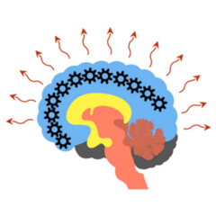 The Triune Brain Abstract Illustration Sticker