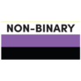 The Word Non-Binary Pride Flag Sticker