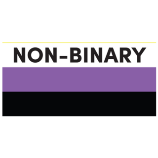 The Word Non-Binary Pride Flag Sticker