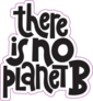 There Is No Planet B Sticker
