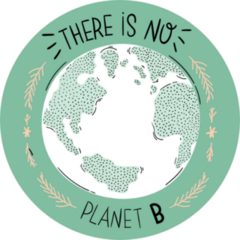There Is No Planet B Sticker