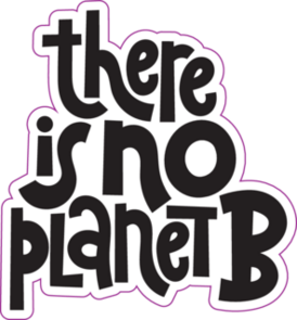 There Is No Planet B Sticker