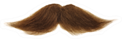 Thick Brown Mustache Isolated On A White Background Sticker
